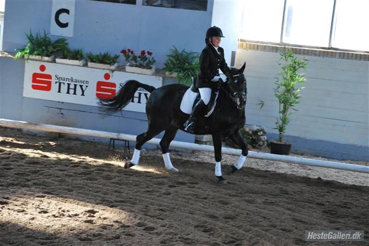 New Forest Nyskovens Valentin - godt eksempel på når han er fræk sammen med min storesøster kristin:) billede 7