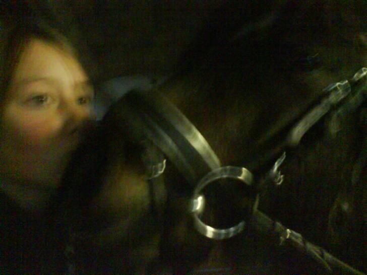 Anden særlig race Laban billede 8