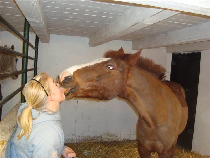New Forest Hunter - mig og Hunter deler en gulerød billede 12
