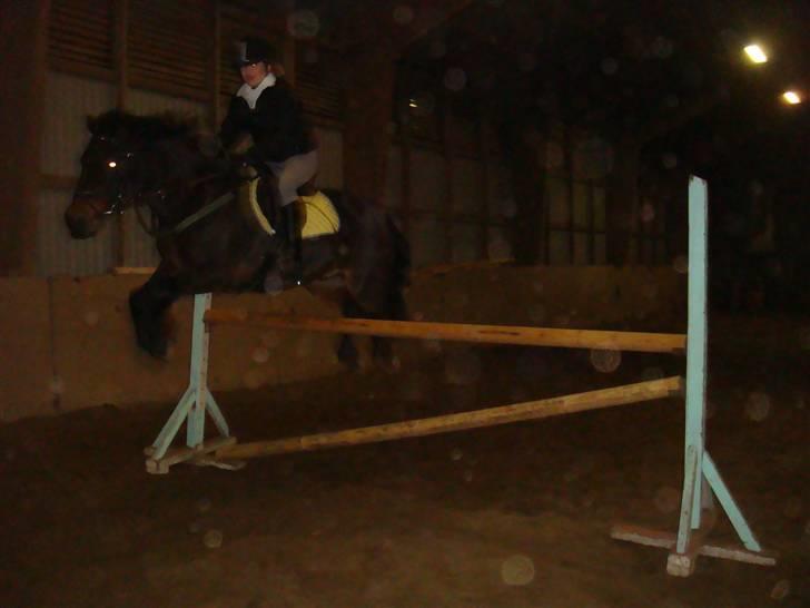Anden særlig race Master Toby - her hopper jeg 95-105<3 foto:Julie<3 billede 8