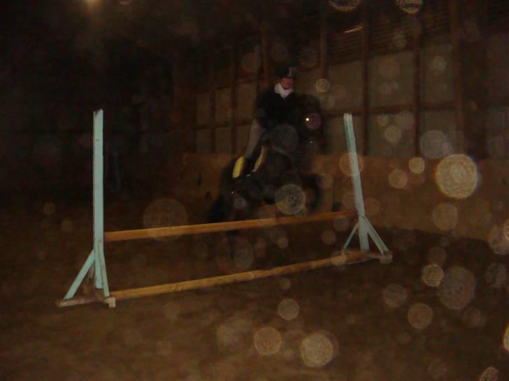 Anden særlig race Master Toby - gaaab, det er for lavt Mette!<3 foto.Julie<3 billede 9