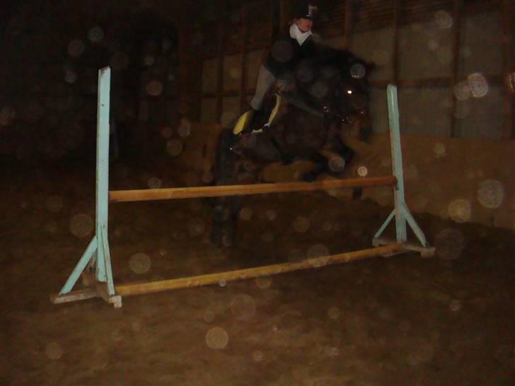 Anden særlig race Master Toby - jubii<3 at springe er helt klart bedst! xD foto:Julie<3 billede 10