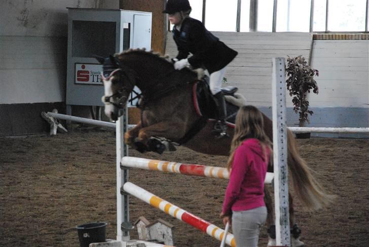 Hollandsk Sportspony Blondie - Her rider jeq MB.... På Blondie... Han er bare så dejliq at ride på.... billede 7