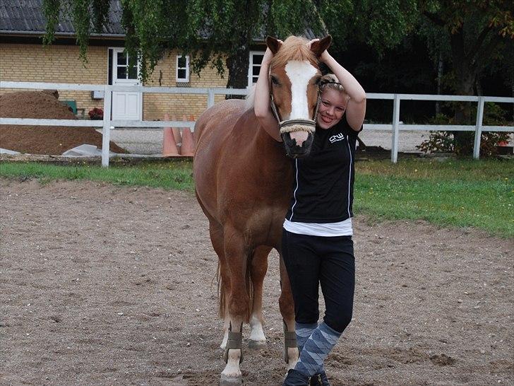 Hollandsk Sportspony Blondie - Blondie jeq elsker diq... <3 billede 8