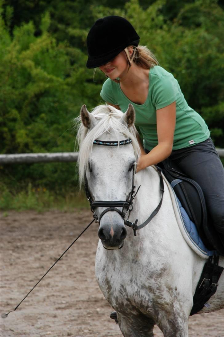 Tysk Sportspony Baloo **SOLGT** billede 2