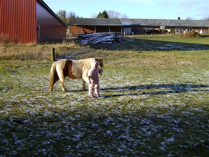 Miniature Indi billede 15