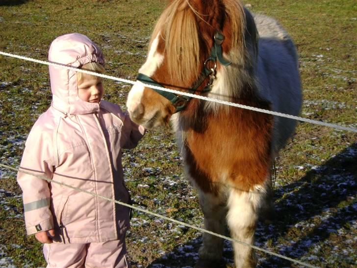 Miniature Indi billede 17