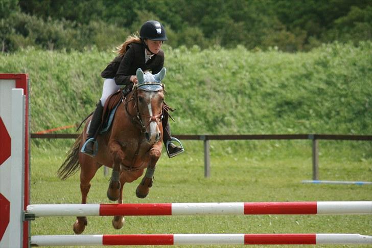 Anden særlig race Sweet Cherry [B-Pony] Aflivet - LA :) billede 17