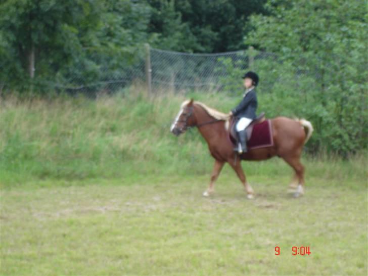 Anden særlig race Jack *AFLIVET SAVNER DIG* billede 10