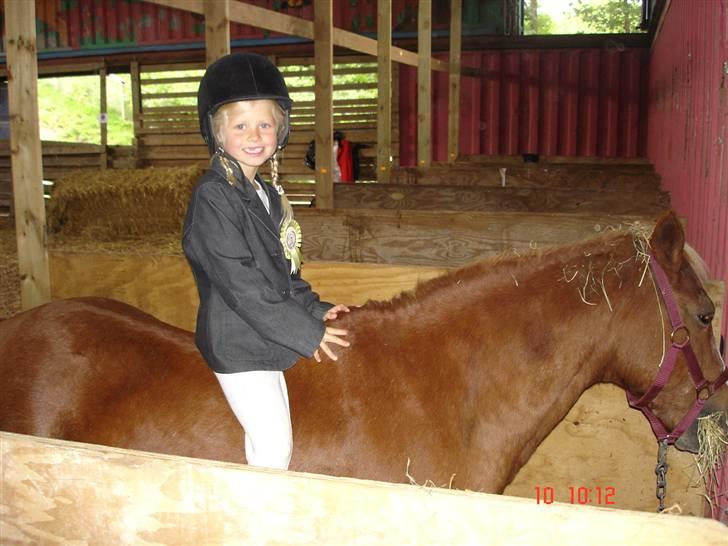 Anden særlig race Jack *AFLIVET SAVNER DIG* billede 11