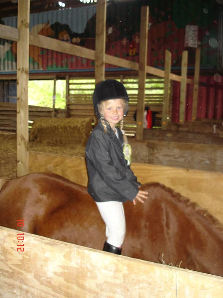 Anden særlig race Jack *AFLIVET SAVNER DIG* billede 12