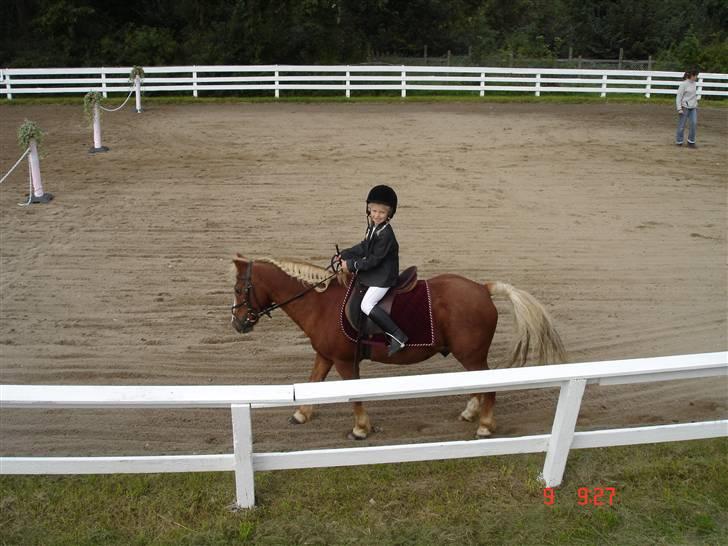 Anden særlig race Jack *AFLIVET SAVNER DIG* billede 13