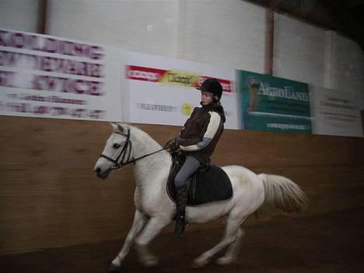 Anden særlig race Bambi - Her rider Bambi galop:) billede 10
