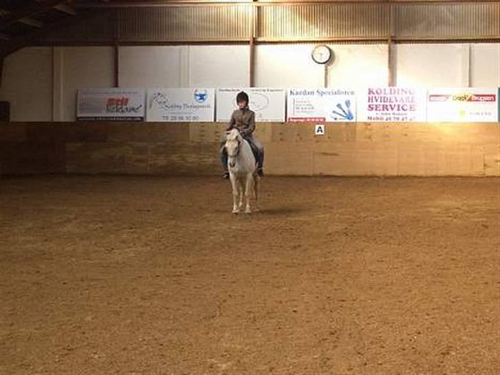 Anden særlig race Bambi - Her er min Smukke,Smukke hest<3 billede 13