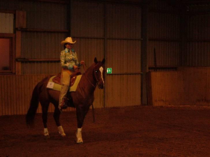 Quarter BR Genuine Sparkel  billede 10