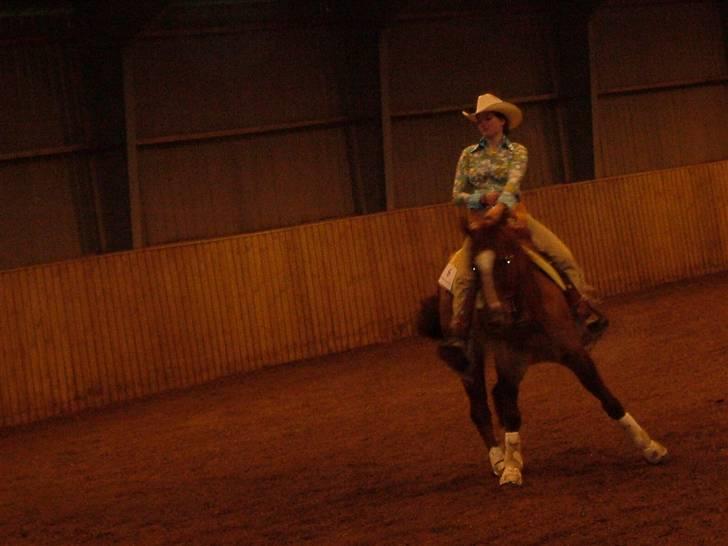 Quarter BR Genuine Sparkel  billede 11