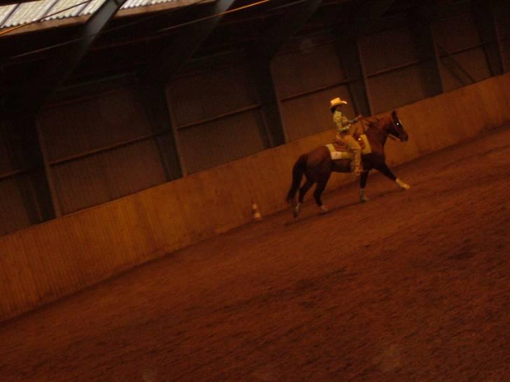 Quarter BR Genuine Sparkel  billede 12