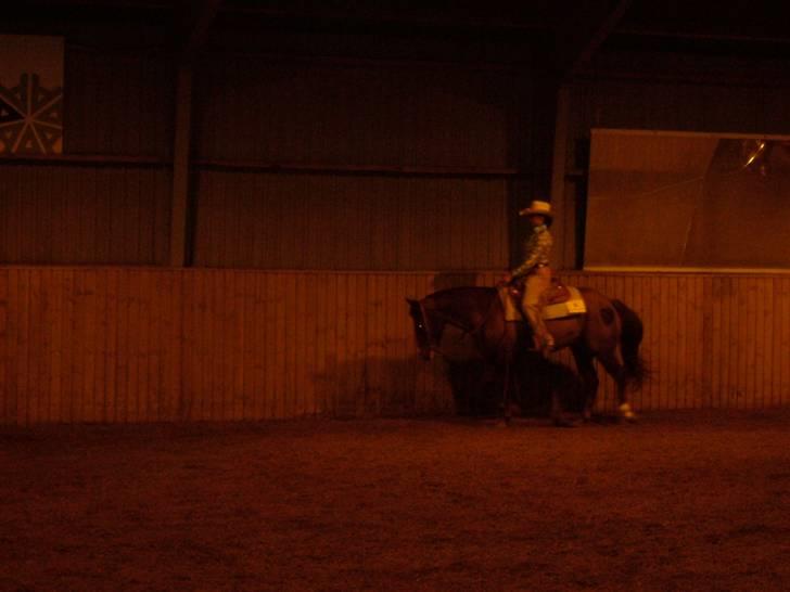 Quarter BR Genuine Sparkel  billede 13