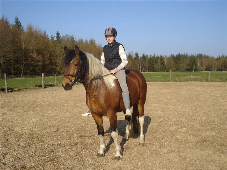 Pinto Chagall *solgt* - Chagall og mig ;D <3 billede 9