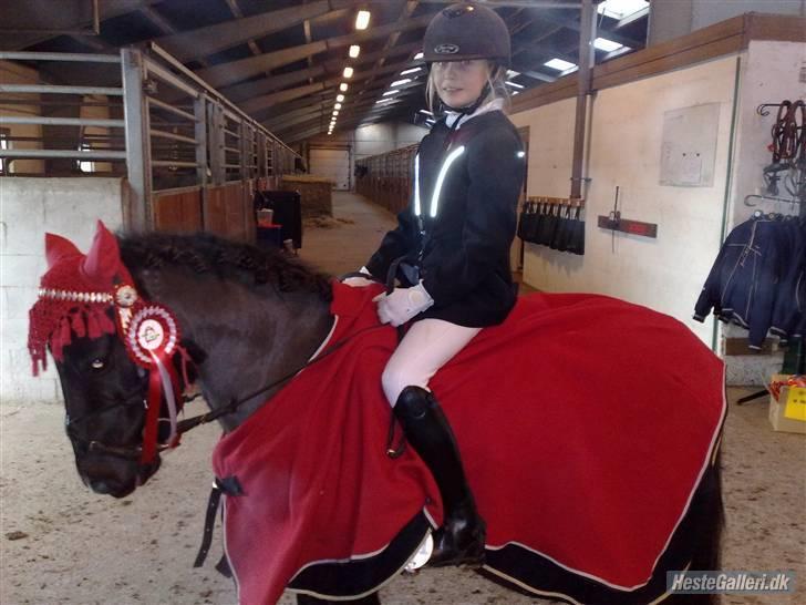 DSP Clements star fighter B-PONY <3 billede 16