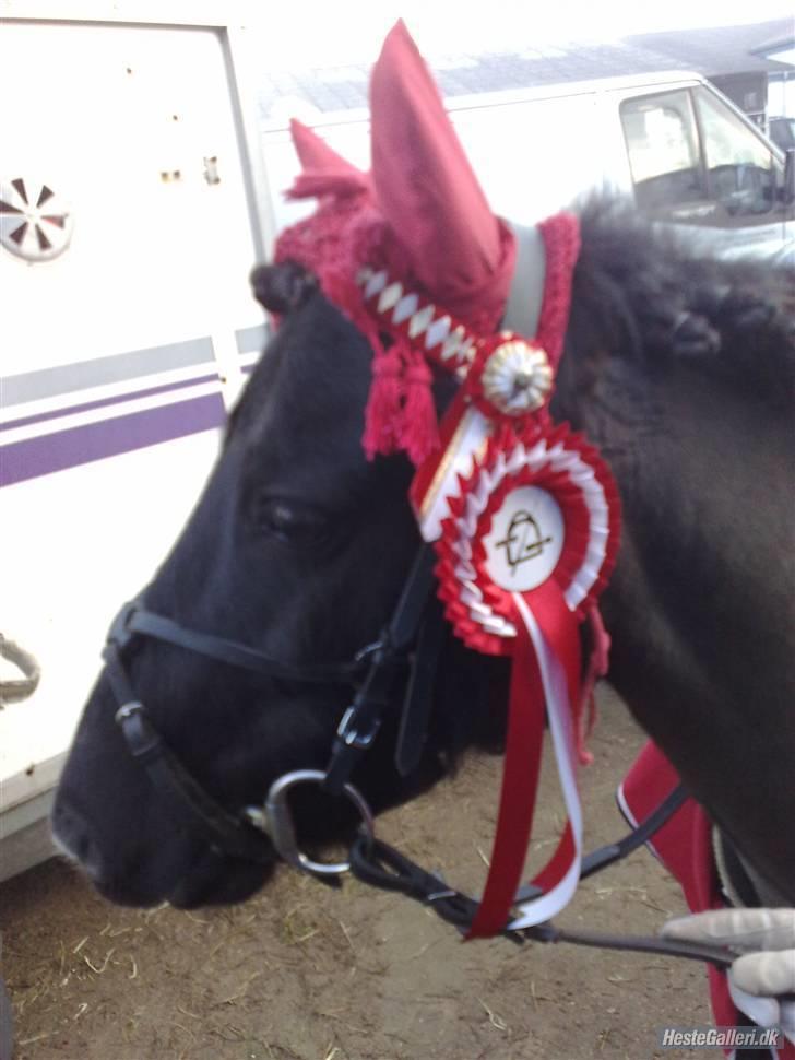 DSP Clements star fighter B-PONY <3 billede 17