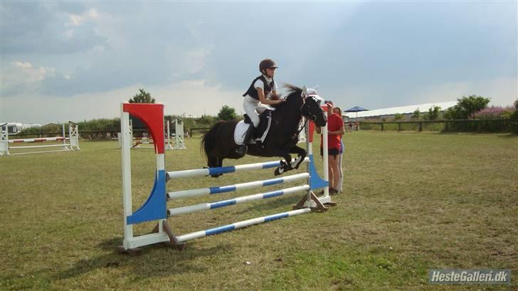 DSP Clements star fighter B-PONY <3 billede 18