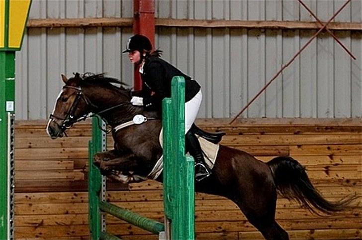 Anden særlig race Beauty Butterfly (LÅNTE) - LA i FKR . billede 12