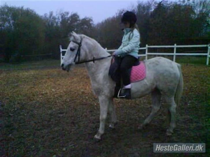 Anden særlig race Bambi - Her rider jeg på Bambi<3 billede 14