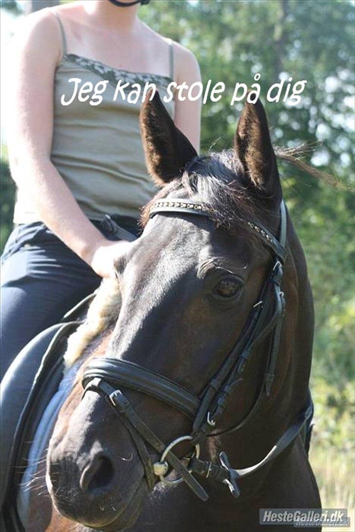 Anden særlig race Prins <3 - Billede nr.: 15* Uhh elsker dig skat <3   FOTO: Sis <3 billede 12