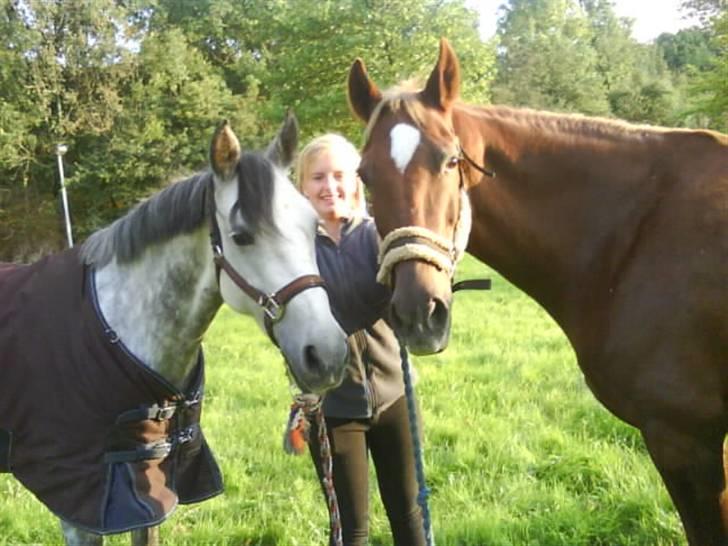 Anden særlig race Madonna<33  - Starlight og Madonna<33 billede 16