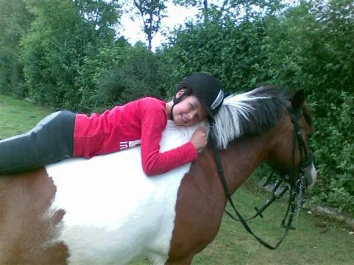 Anden særlig race Stormy | SOLGT | billede 14