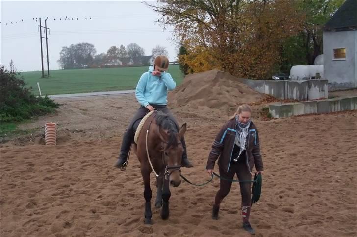 Anden særlig race Milancio S - Med Janni på ryggen 2. gang og i fin skridt (December 08) billede 10
