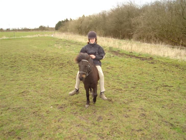 Anden særlig race munik -  sara er ude at ride på mig  billede 7