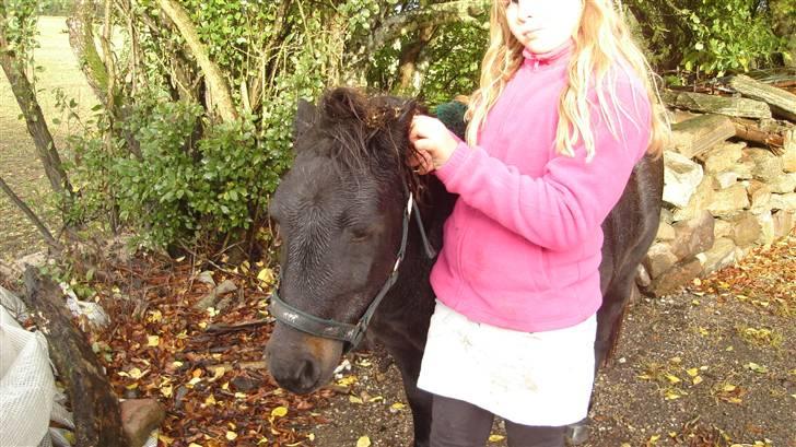 Anden særlig race munik - ses nok igen hopper i kunne lide det <33 billede 9