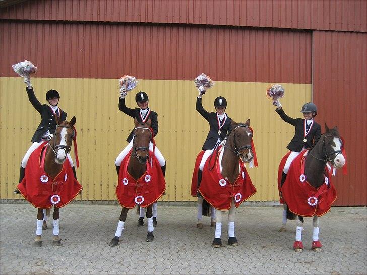 DSP Milky way - Distriktmestre hold 2010!:D fra venstre Klara Nielsen, Stine Damkær, Maria Worm og Amalie mortensen <3 billede 13