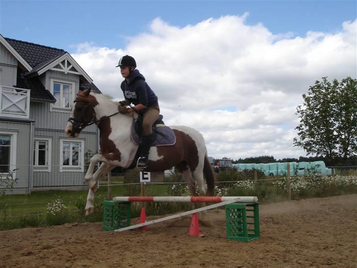 Pinto Speedy I I  billede 16