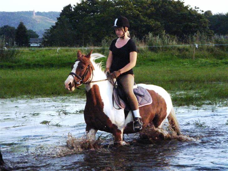 Pinto Speedy I I  billede 19