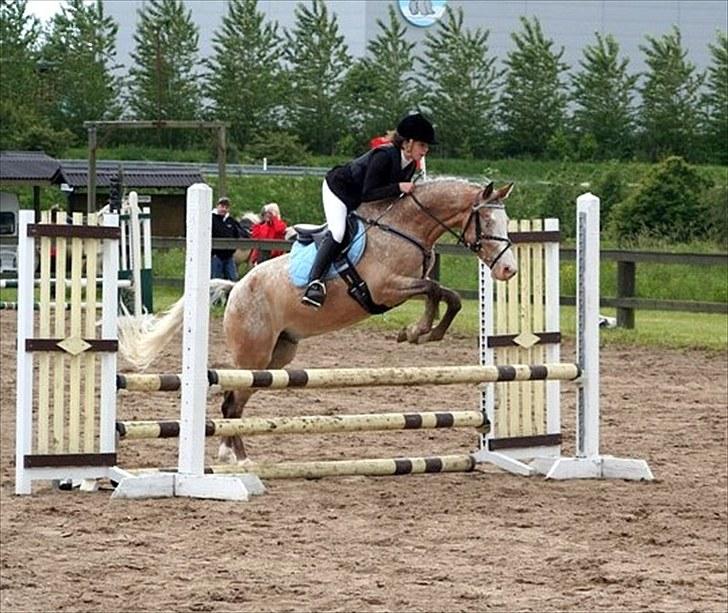 Anden særlig race Roosgårdens Cosmopolitan *Udlånt* - 2. Stævne VHRK - LD og LC - 2 nulrunder..:) billede 4