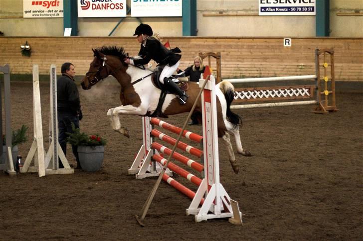 Anden særlig race Elmelunds Dalton- Søsters - Stævne i Sønderborg Rideklub - LA - Fotograf: Lena Elsborg billede 4