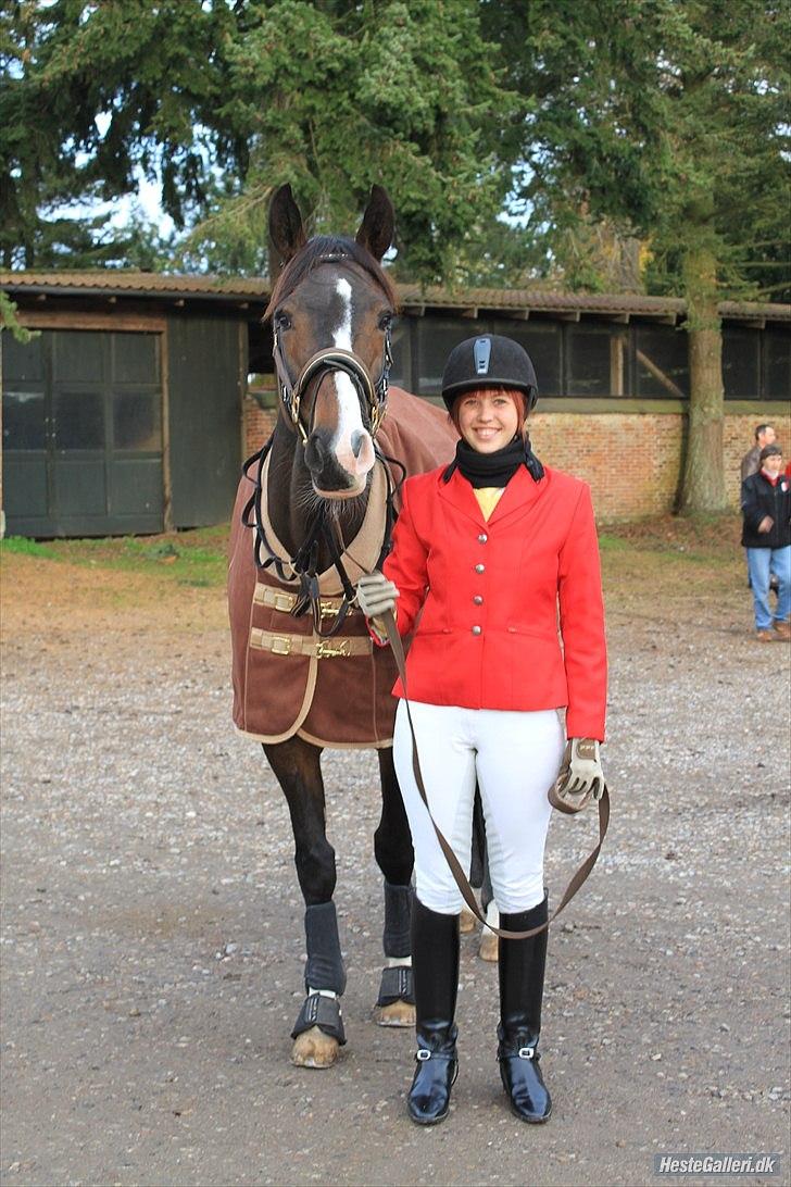 Anden særlig race Santina - Hubertud jagt 2010 billede 1