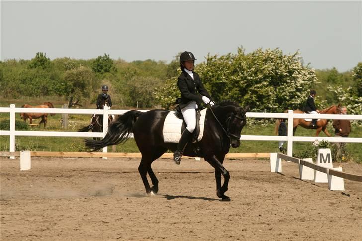 Anden særlig race Tara SOLGT - Lb1 tilbage i juni 2008 billede 15