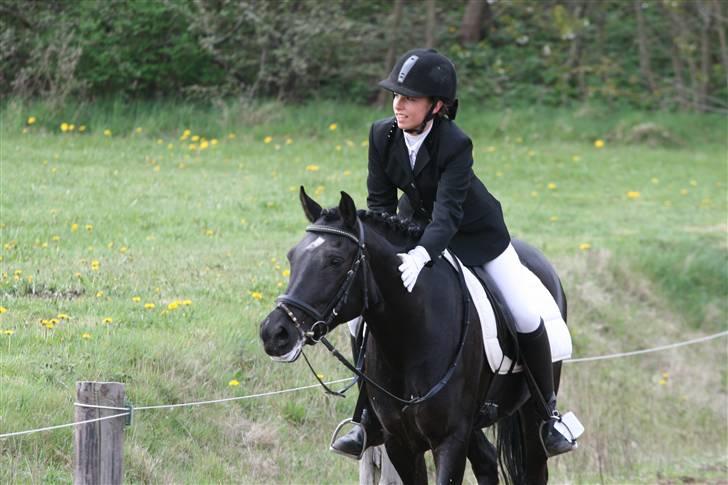 Anden særlig race Tara SOLGT - efter Lb1 i Ndr. Hostrup. 2.plads ud af 16 billede 16