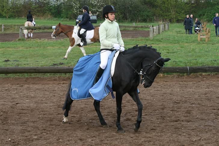 Anden særlig race Tara SOLGT - opvarmning <3 billede 17