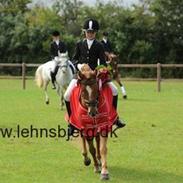 Anden særlig race Lukas<3