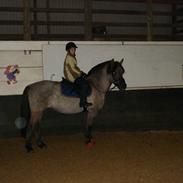 Anden særlig race Søstrenegaards Milla