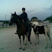 Pinto Elmegårdens Pandora