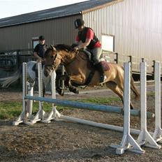 Anden særlig race Trunte min stjerne<3 Rest in peace <3