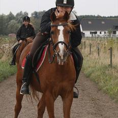 Anden særlig race Destiny | VSR