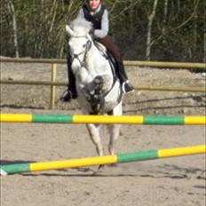 Anden særlig race  Bandit<3 *SOLGT*