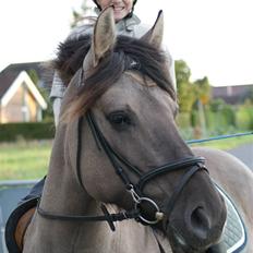 Anden særlig race Søstrenegaards Milla